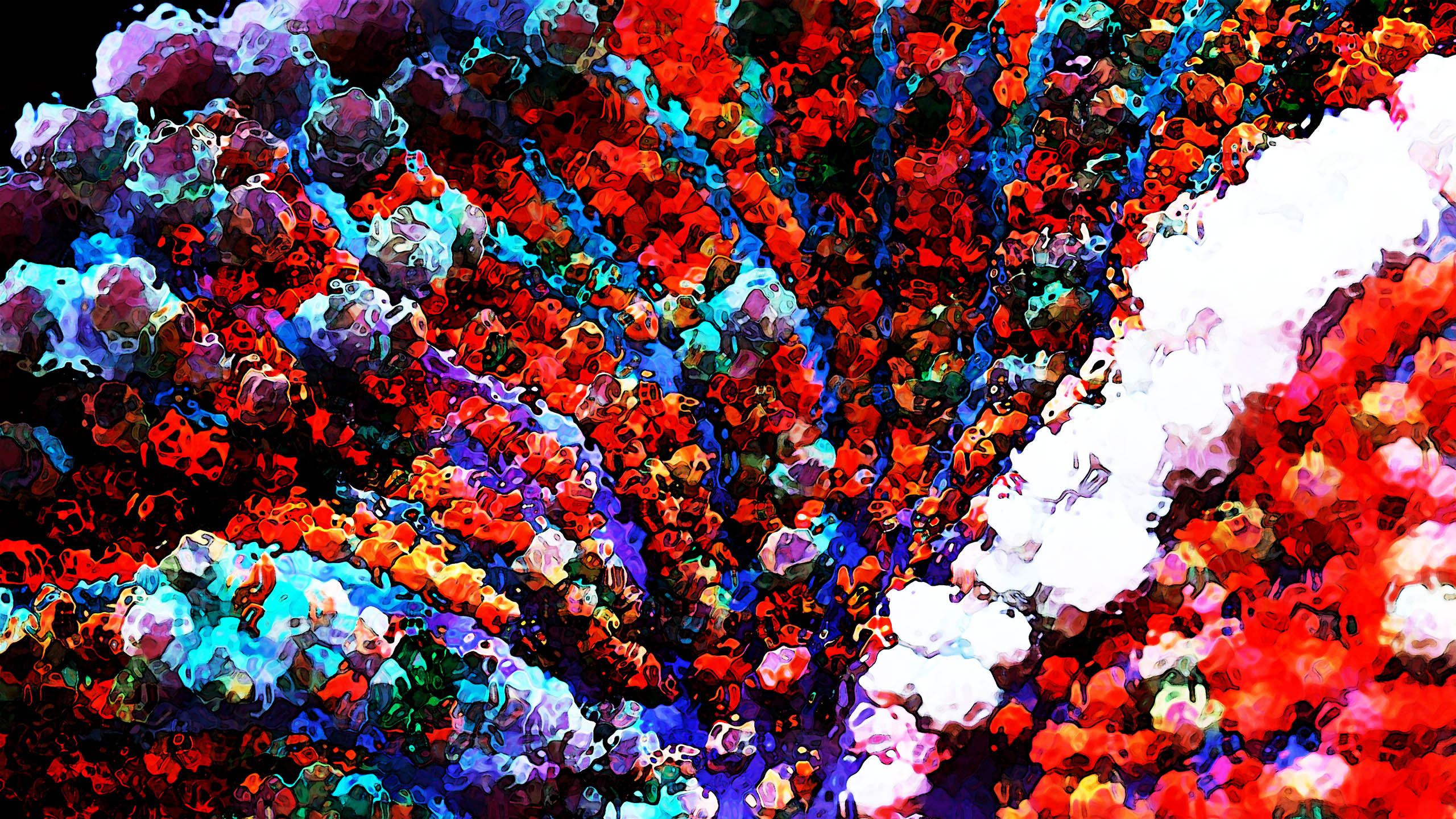 Su Precioso Coral #35 / Enrique Mateu